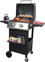 Portable 2-Burner BBQ Grill