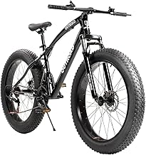 Fat Tire 21-Speed Mountain Bike