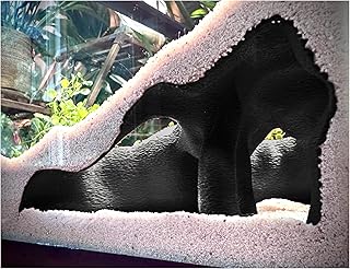 Mangrove Root Aquarium Hideout