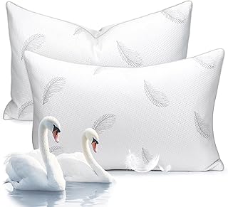 Goose Feather Plush Pillows