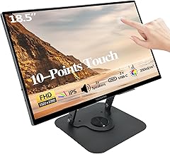 Touchscreen Portable Monitor 18.5"