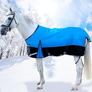 Winter Waterproof Horse Blanket