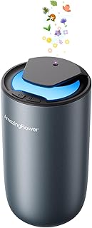 Waterless Essential Oil Diffuser