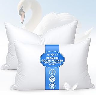 Goose Feather Sleep Pillows