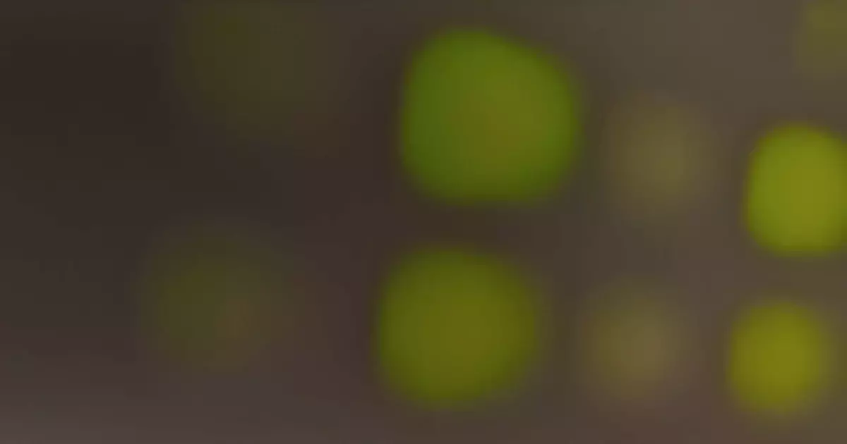 Proofpoint DLP for SMBs