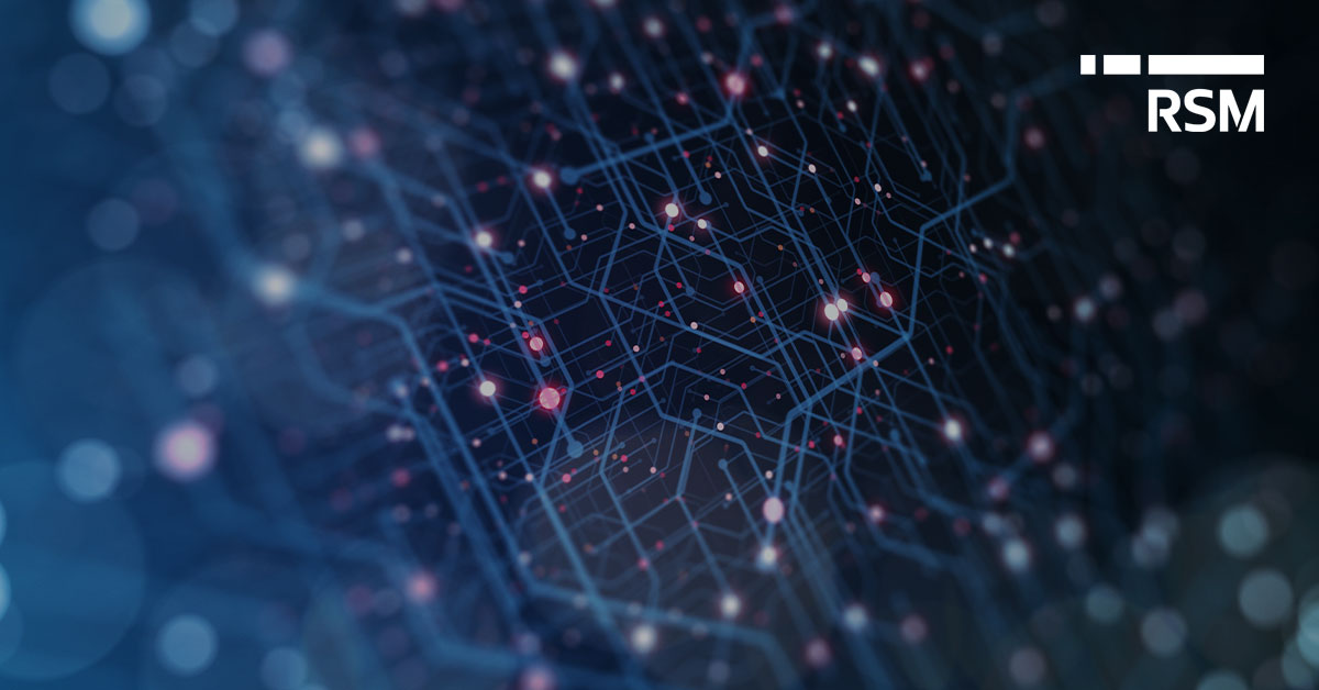 RSM Private Equity Tech Services