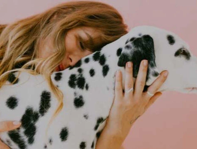 ScreenPal Stock Library