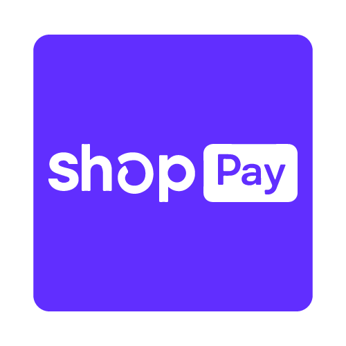 Shopify Payment Integration Services