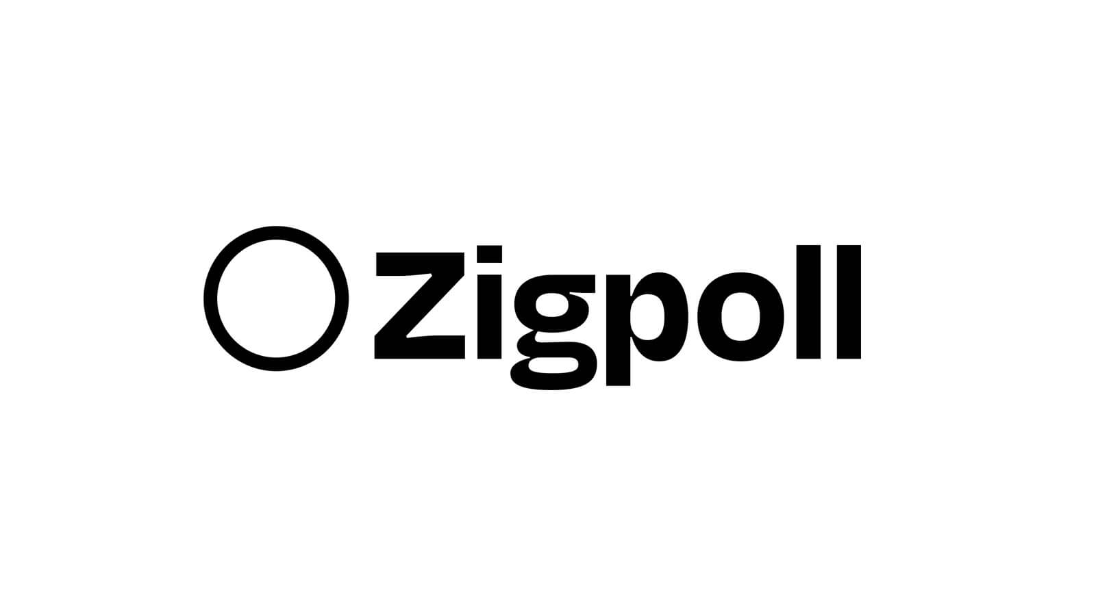 Zigpoll for Private Equity Firms